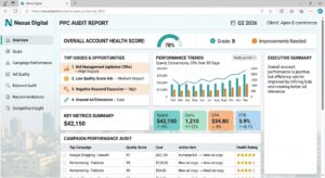 Free PPC audit report showing campaign improvement opportunities